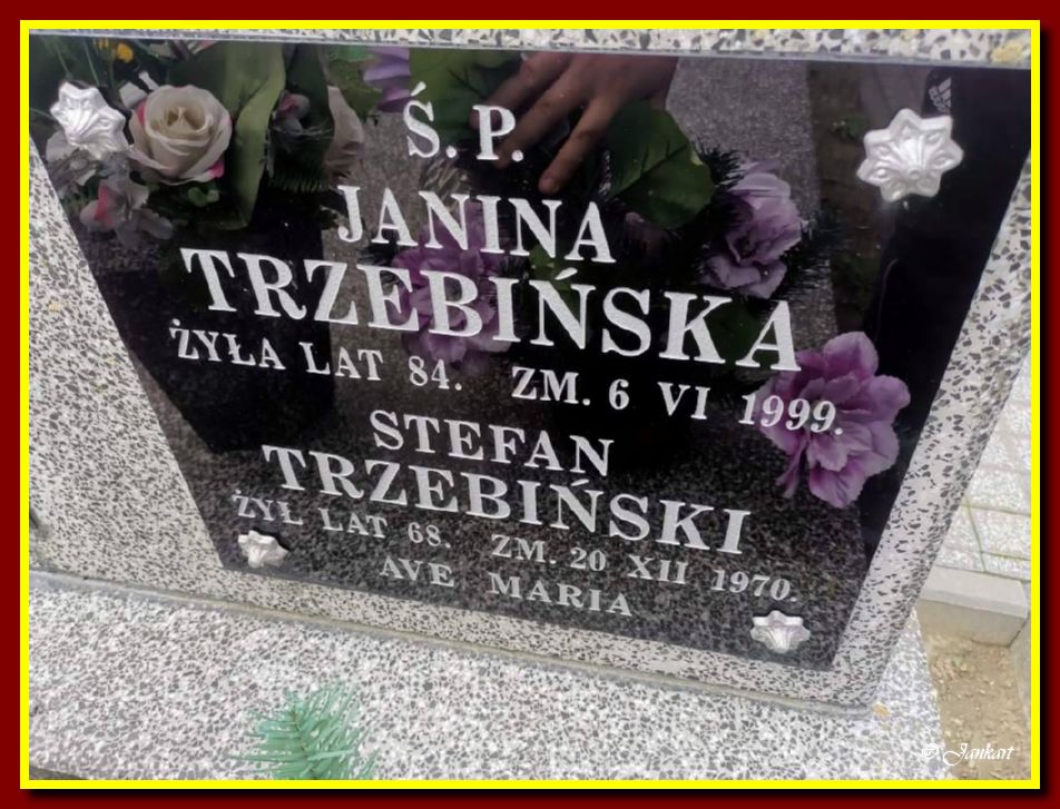 Trzebińscy J.S.